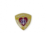 Paramedic Emergency Pin